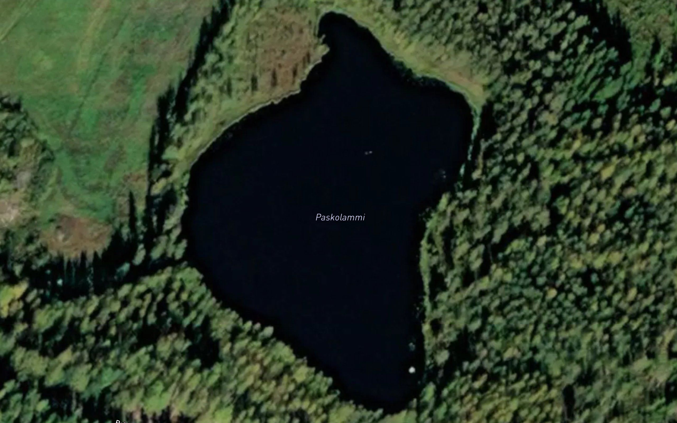 Paskolammi