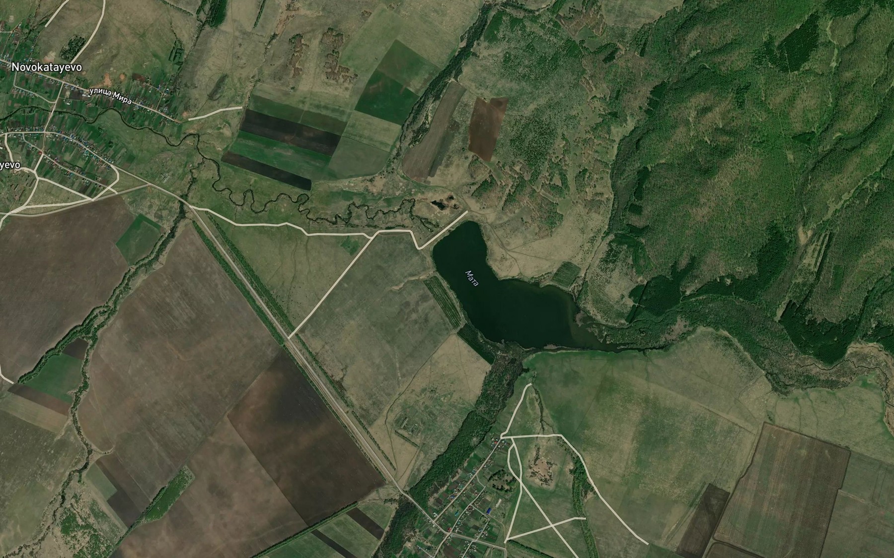 Satellite map of the Bug