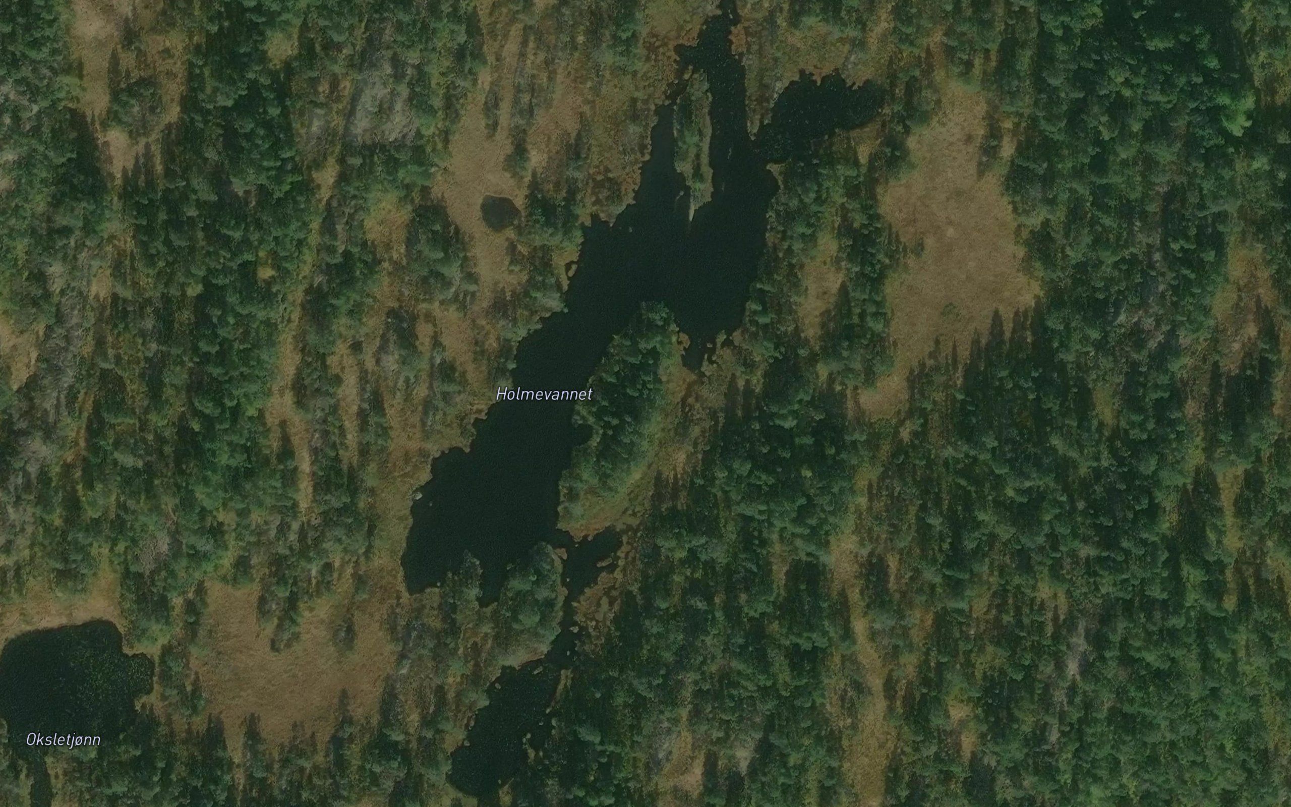Holmevannet