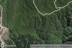 Wainui Stream