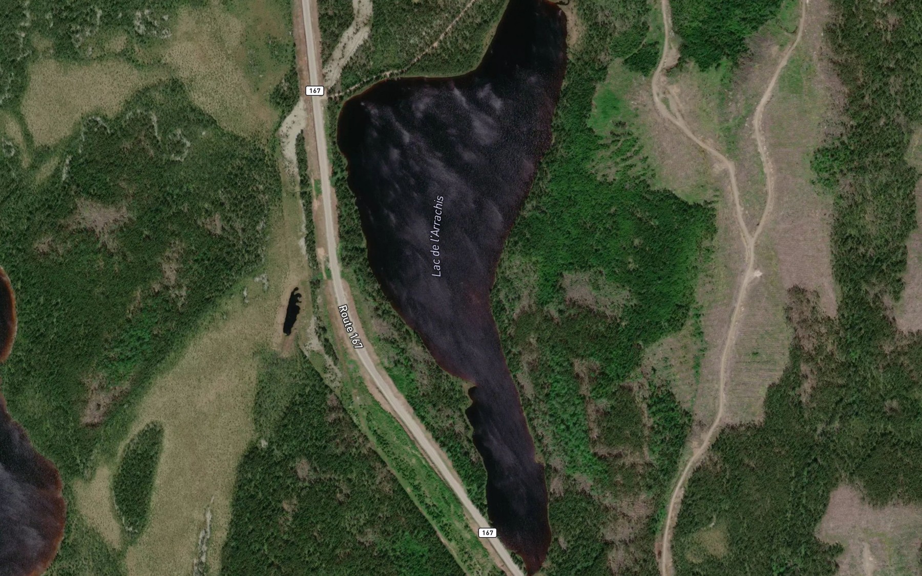 Satellite map of the Lac de l'Arrachis