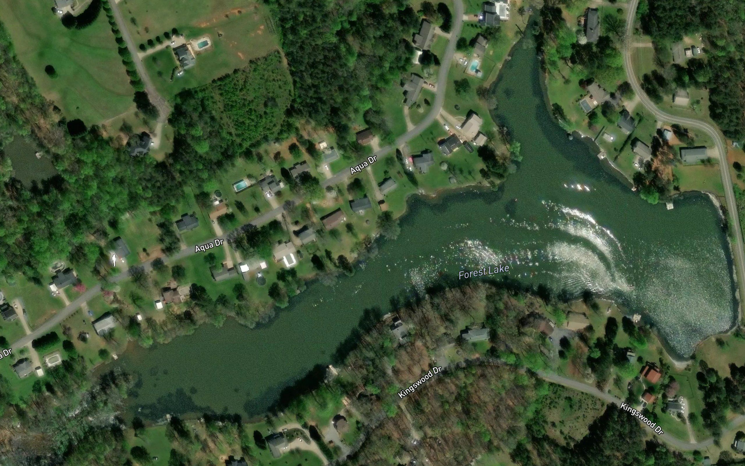 Forest Lake