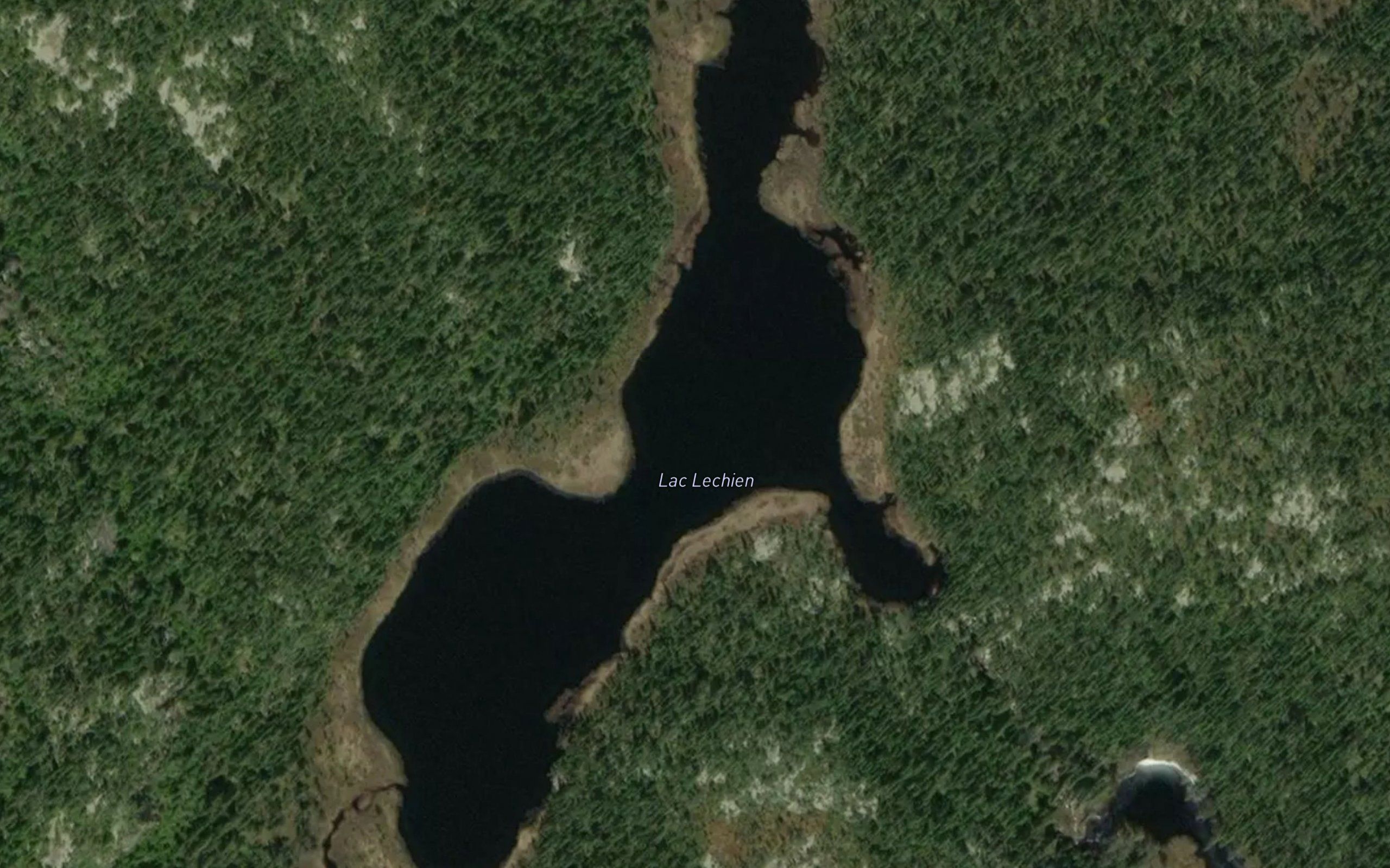 Lac Lechien