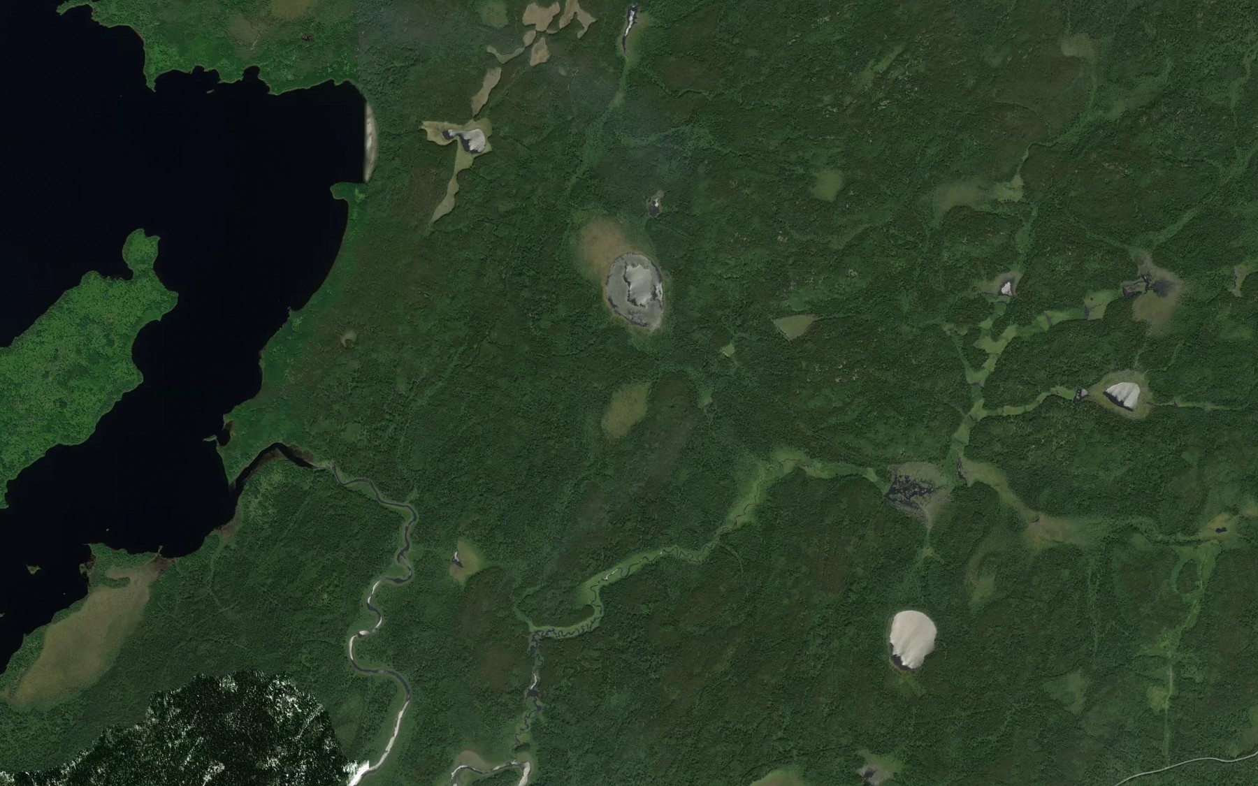 Satellite map of the Rice Pond