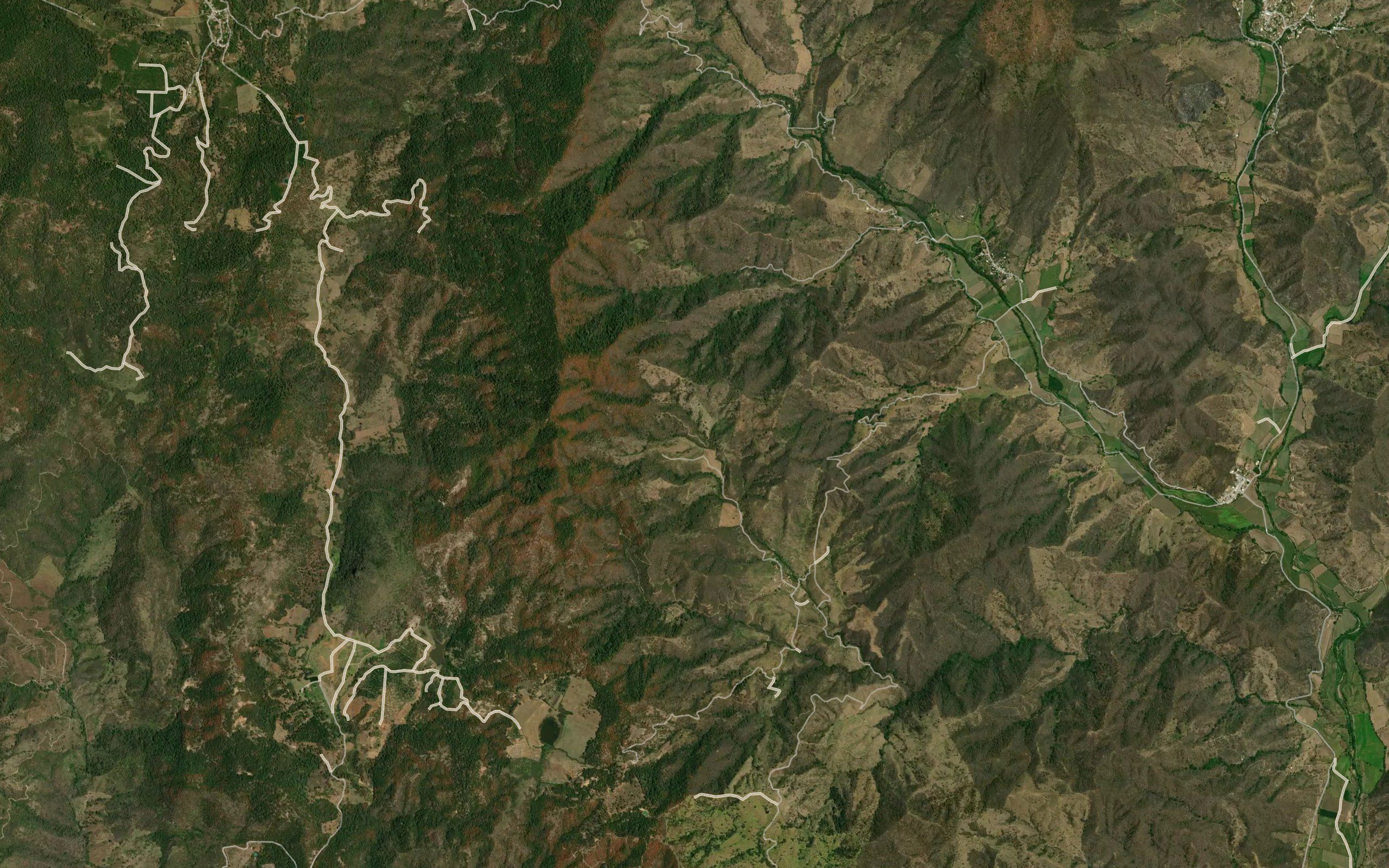 Barranca Palo Verde