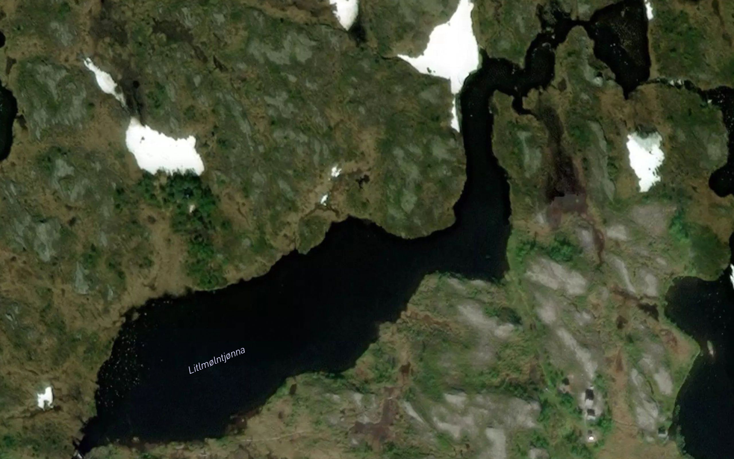 Molntjorna,l