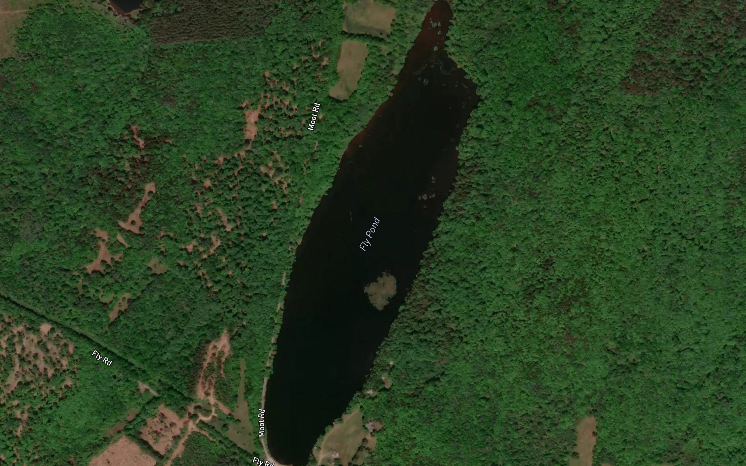 Fly Pond