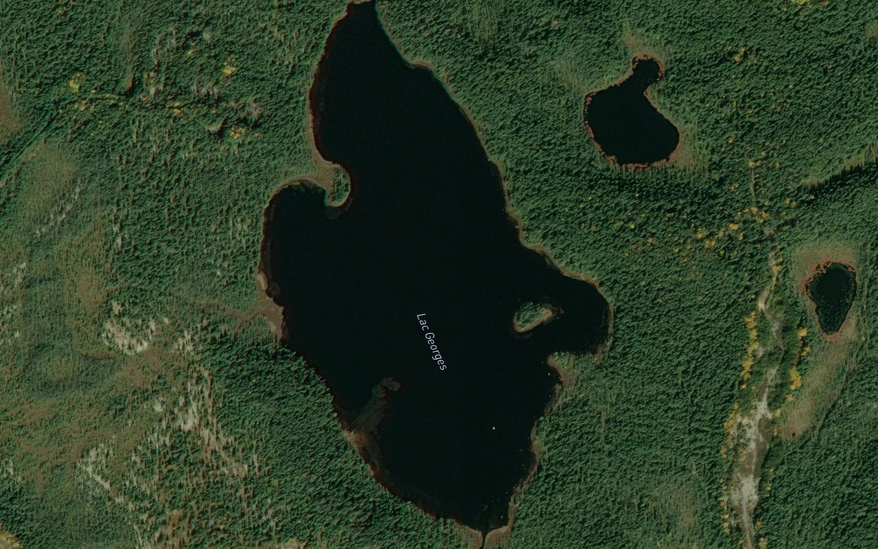 Satellite map of the Lac Georges