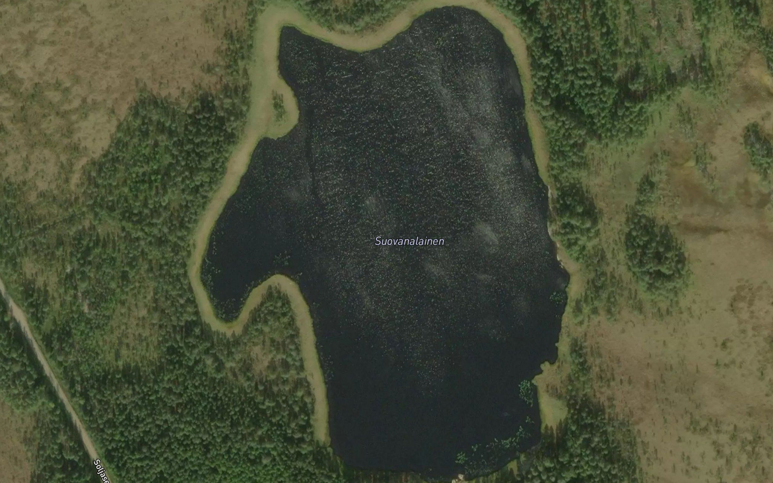 Suovanalanen