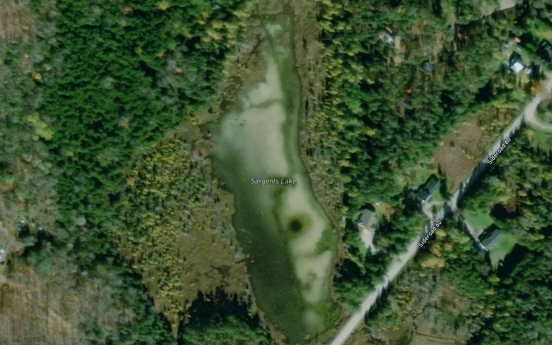 Satellite map of the Sargents Lake