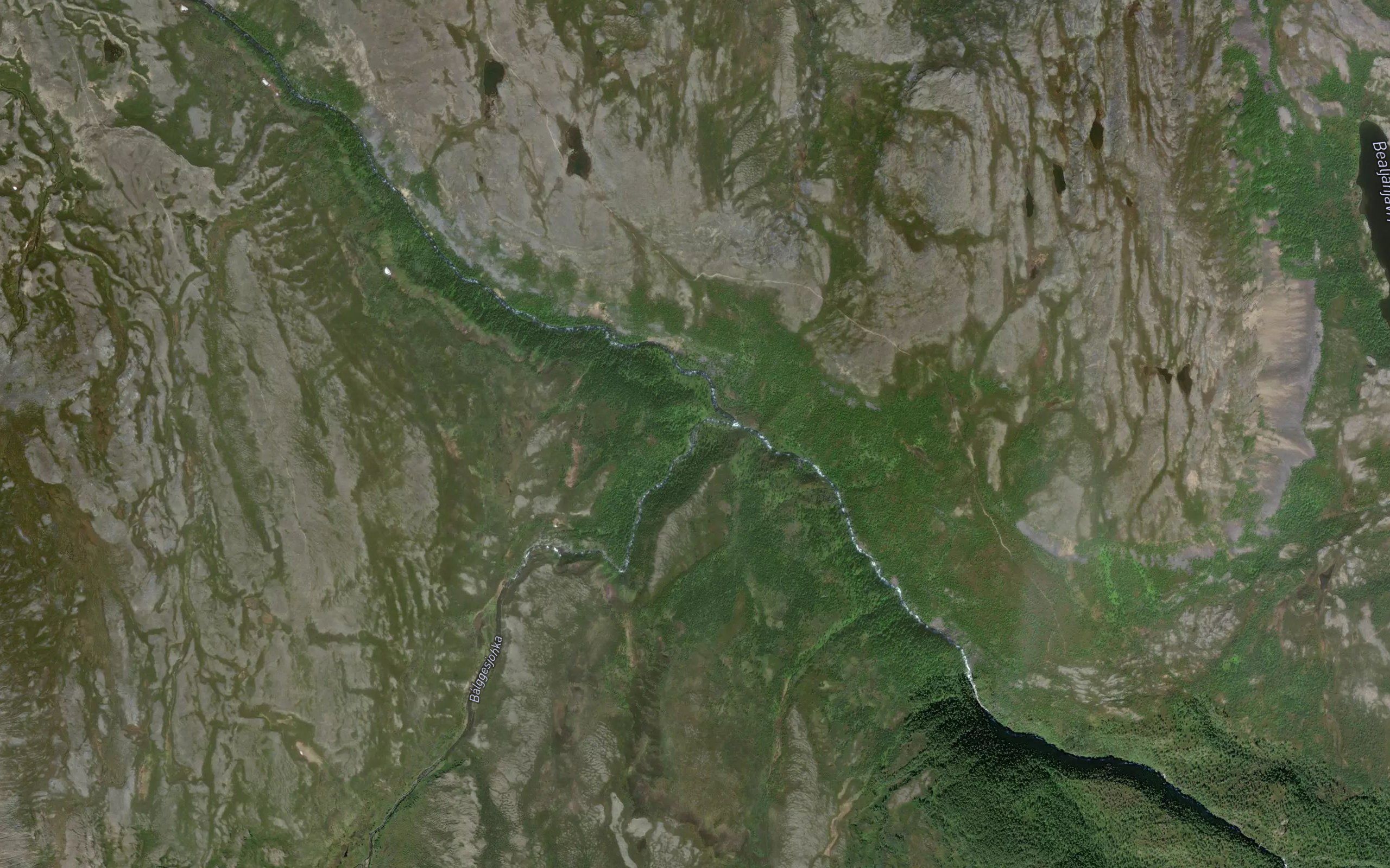 Balggesjohka