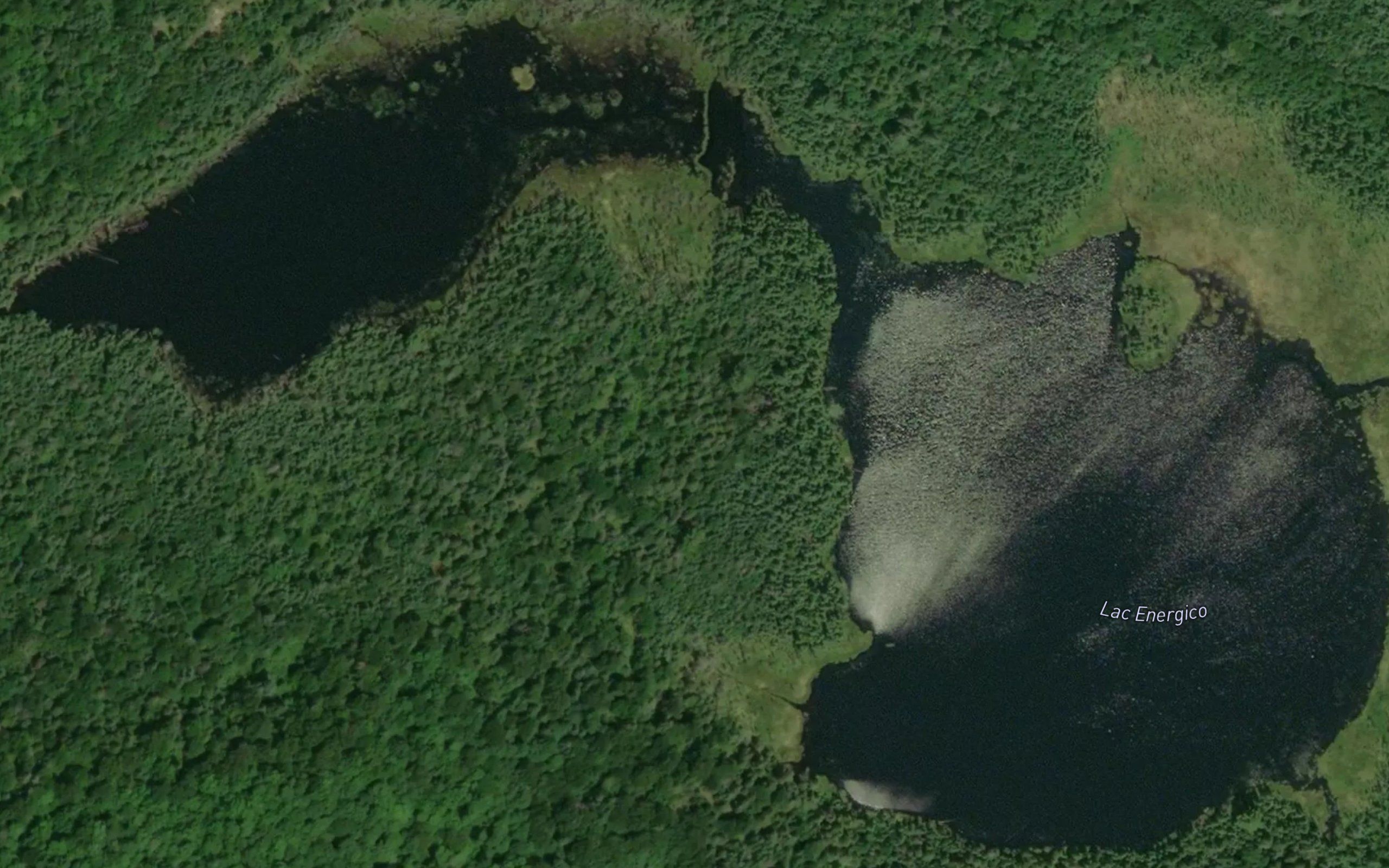 Lac Energico