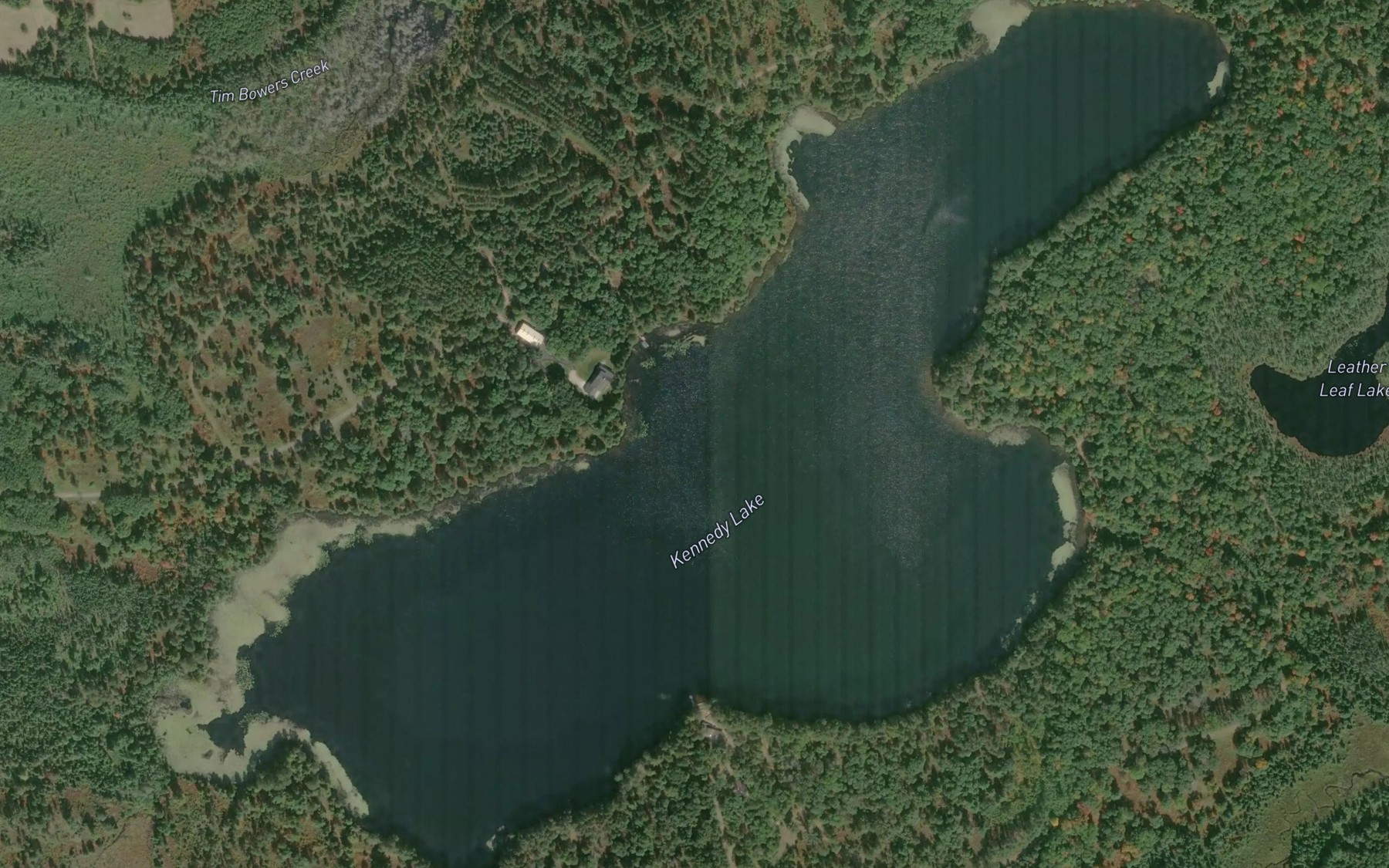 Satellite map of the Kennedy Lake