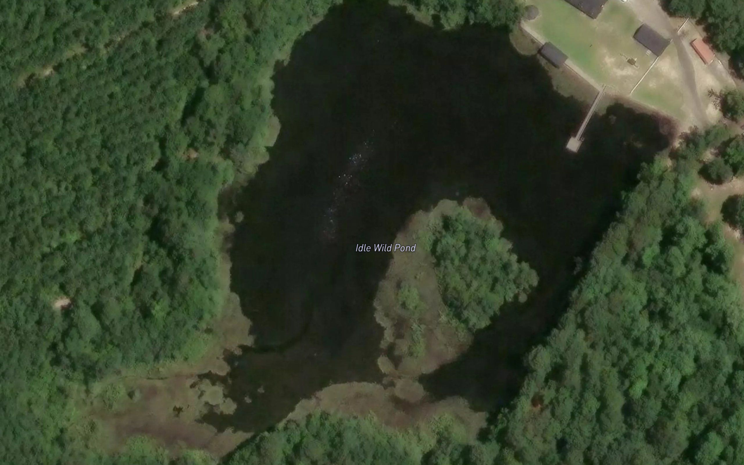 Idle Wild Pond