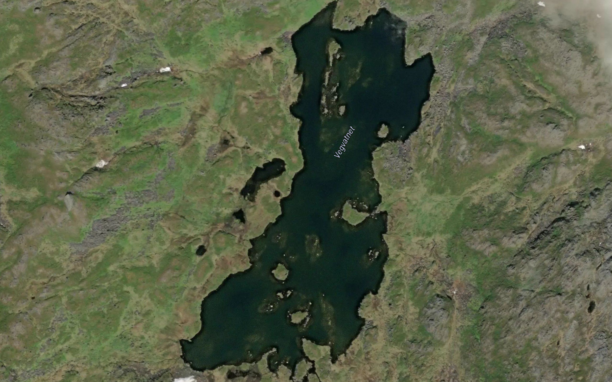 Vegvatnet