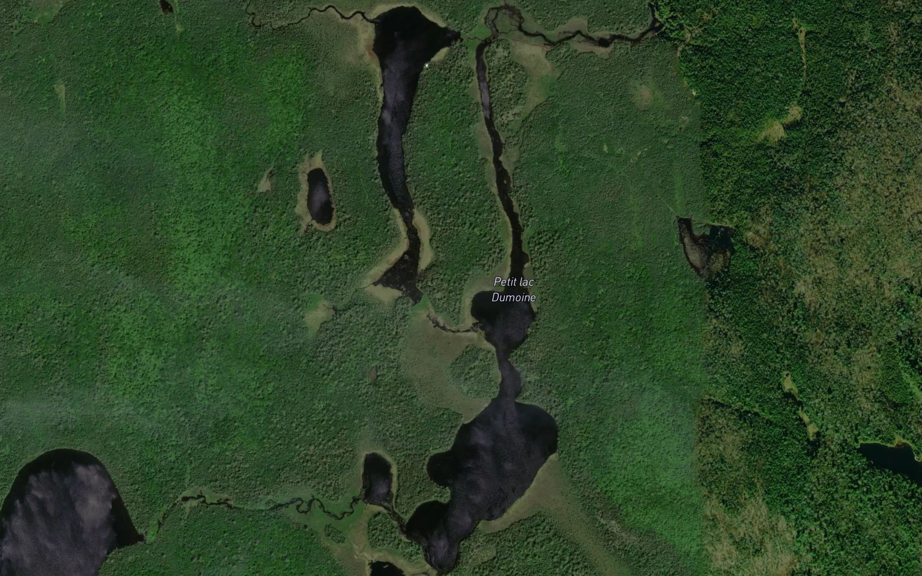 Satellite map of the Petit lac Dumoine