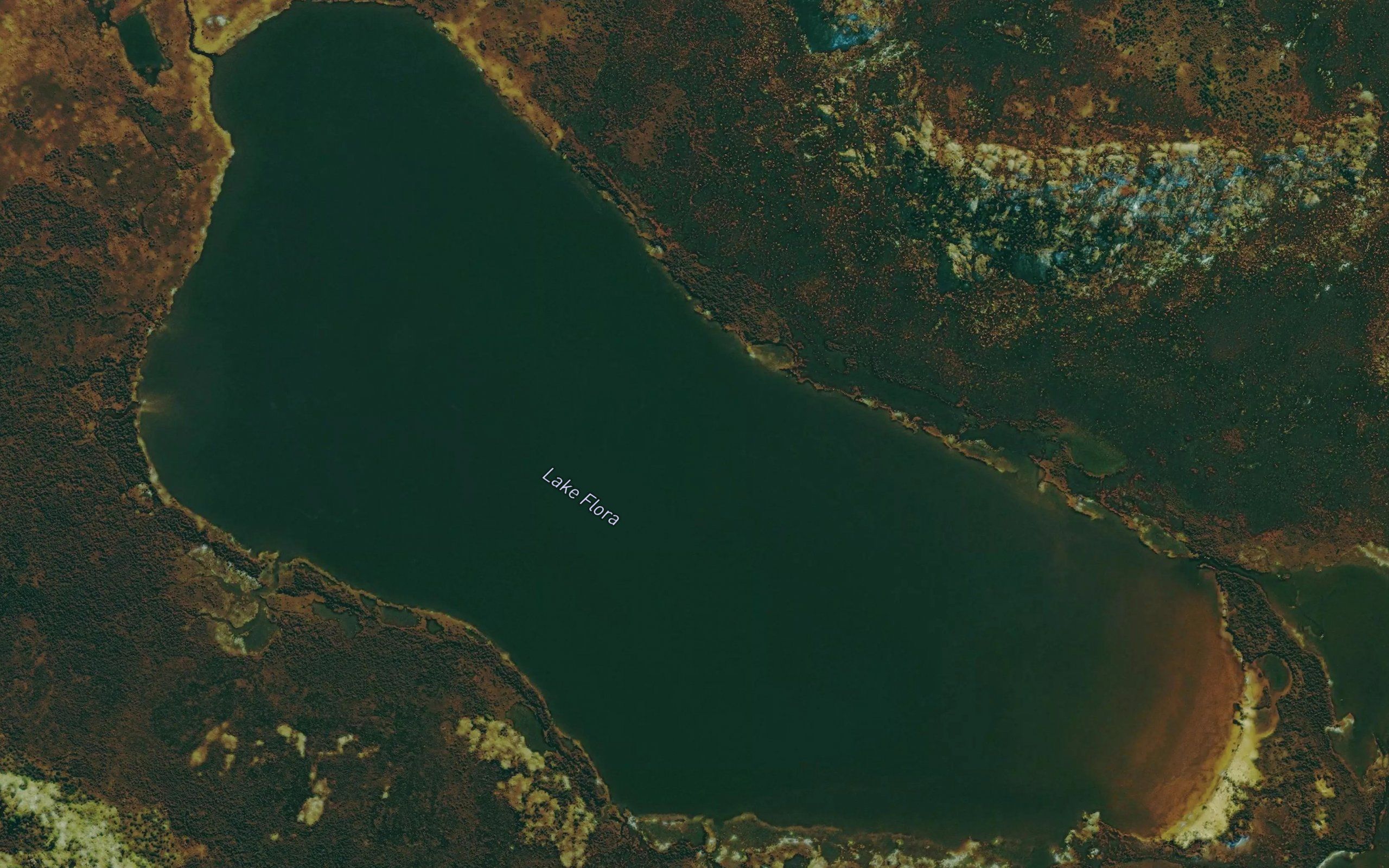 Lake Flora
