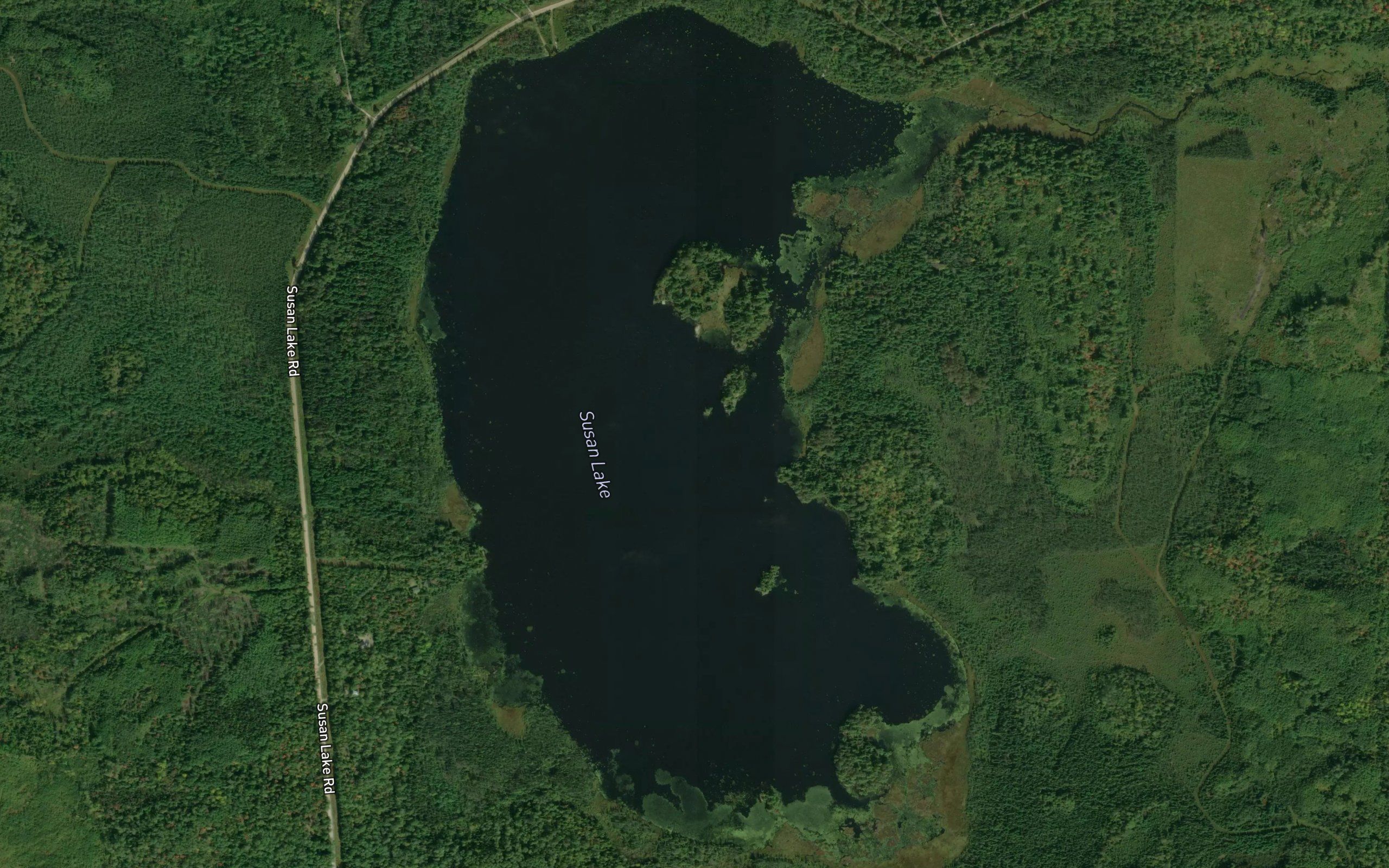 Susan Lake