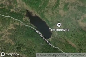 Tortjernet