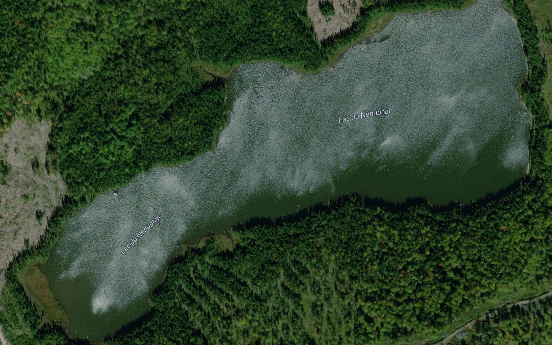 Satellite map of the Lac du Nenuphar