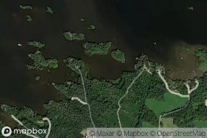 Niitynlahti