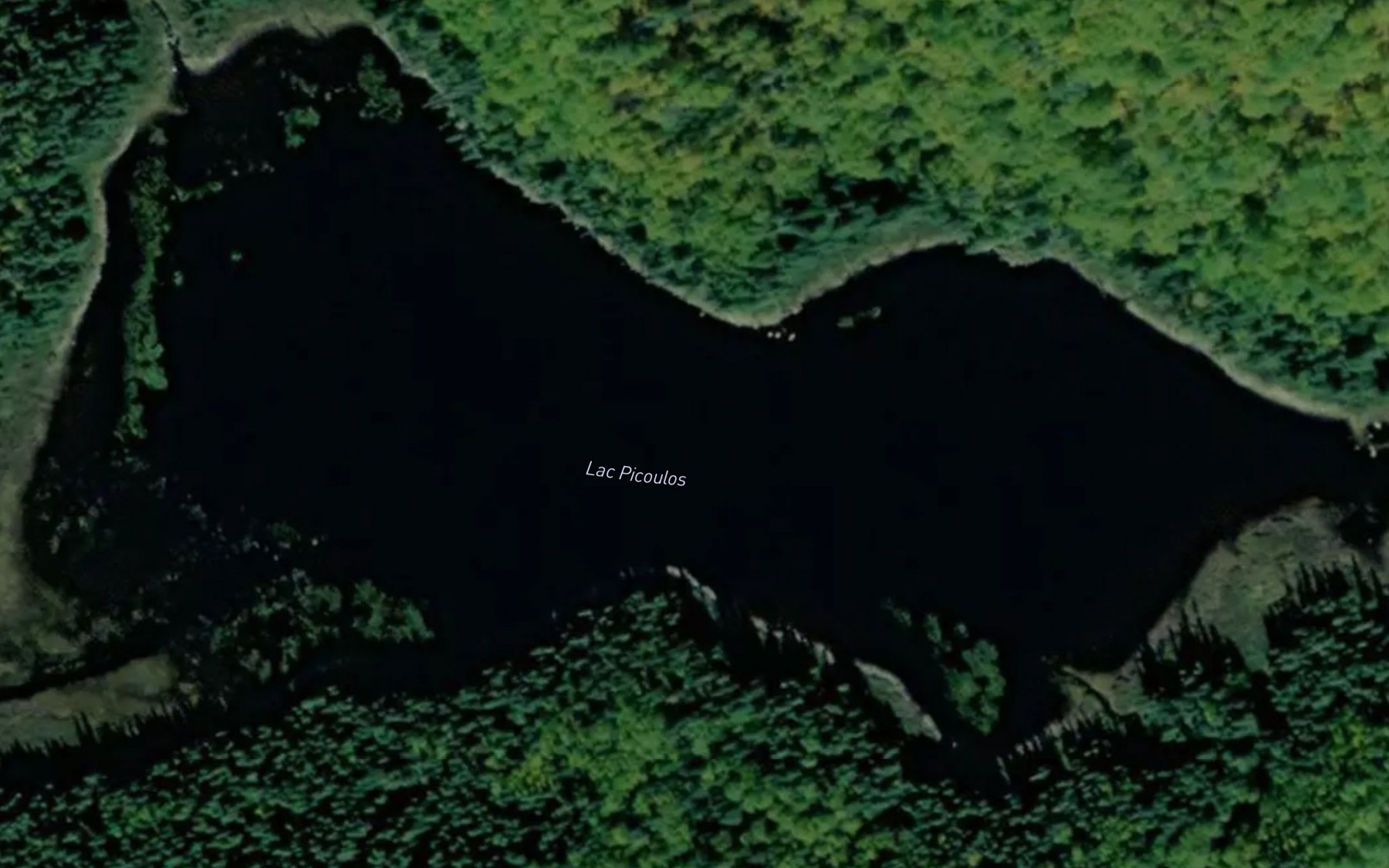 Satellite map of the Lac Picoulos