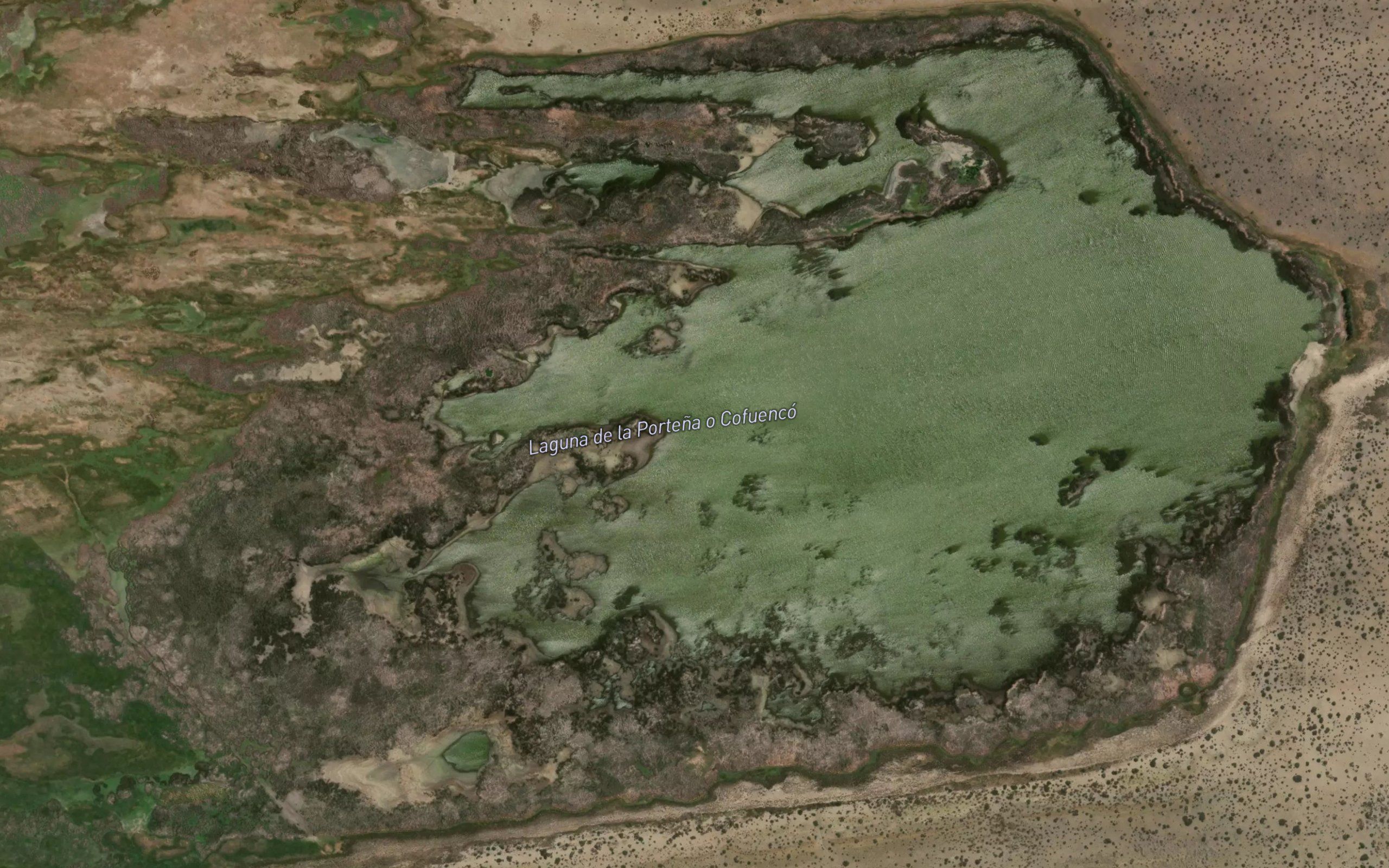 Laguna de la Portena