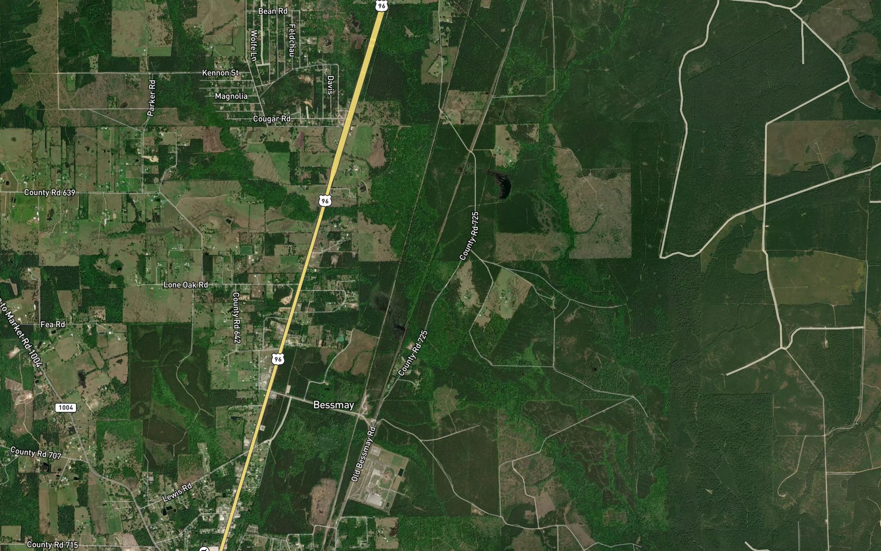 Satellite map of the Long Branch