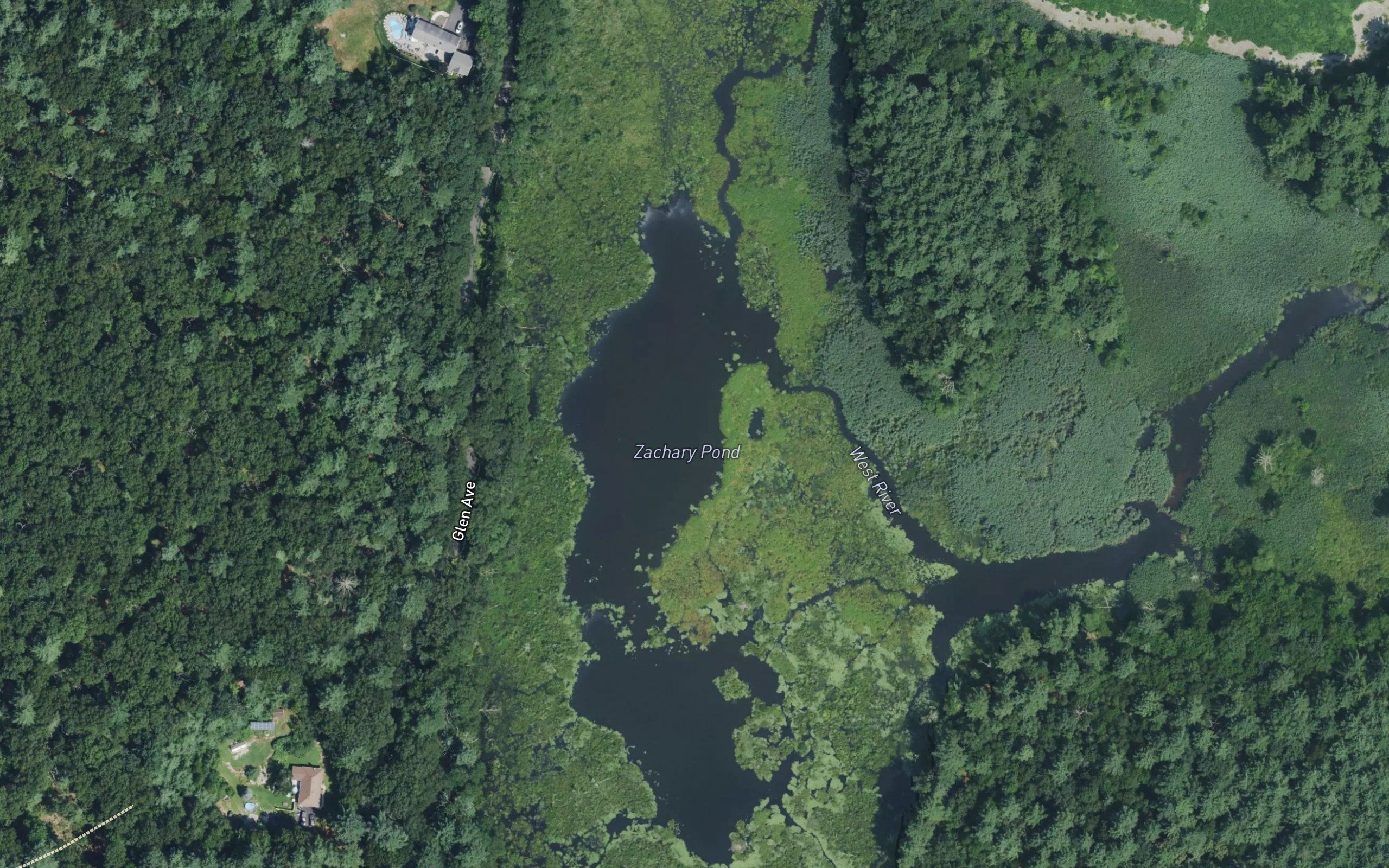 Zachary Pond