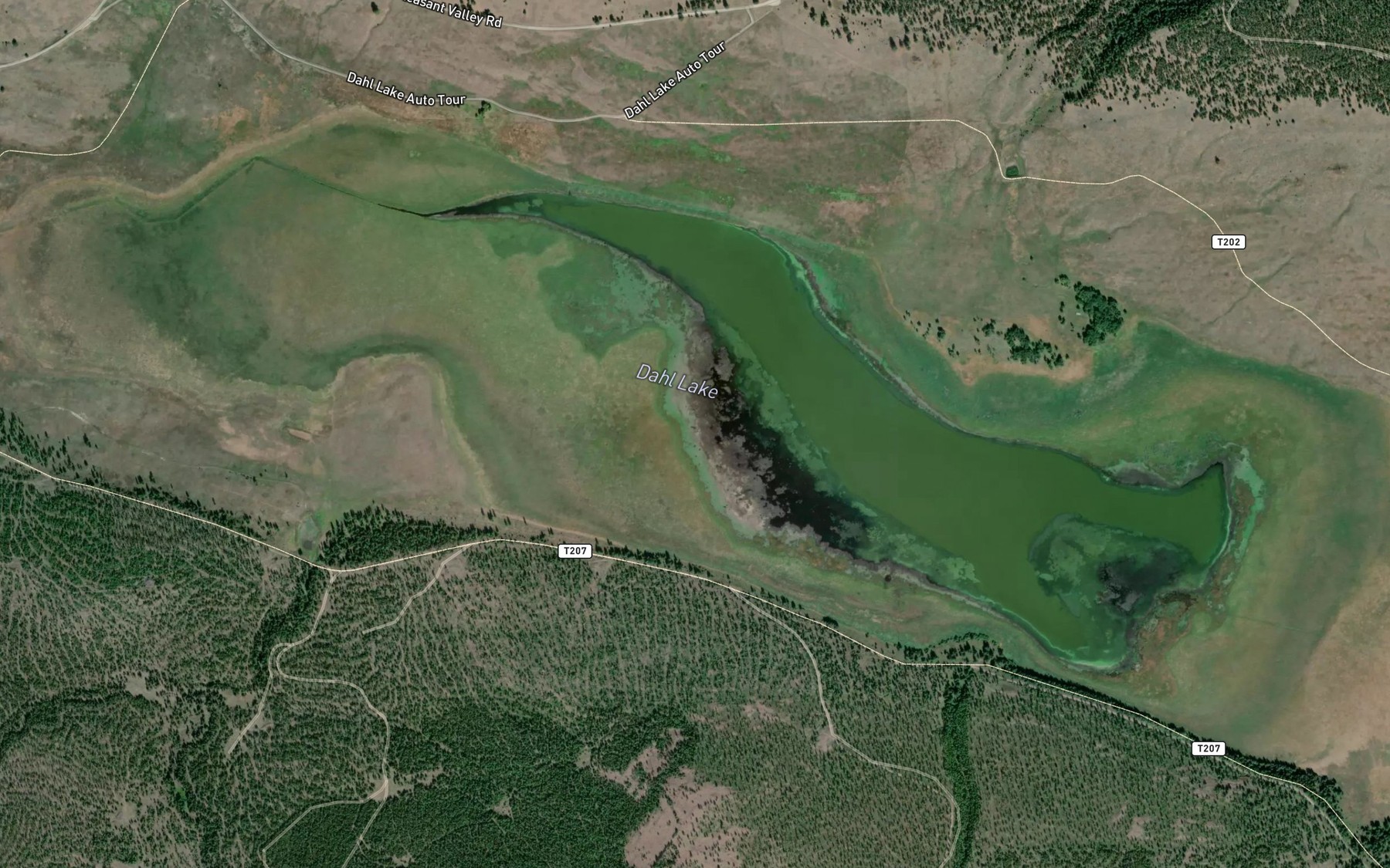 Satellite map of the Dahl Lake