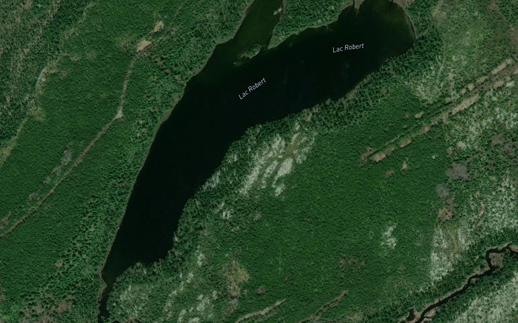 Satellite map of the Lac Robert