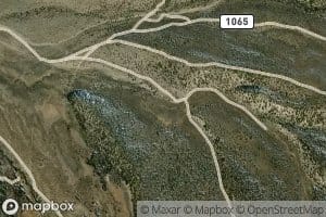 Pat and Mike Springs