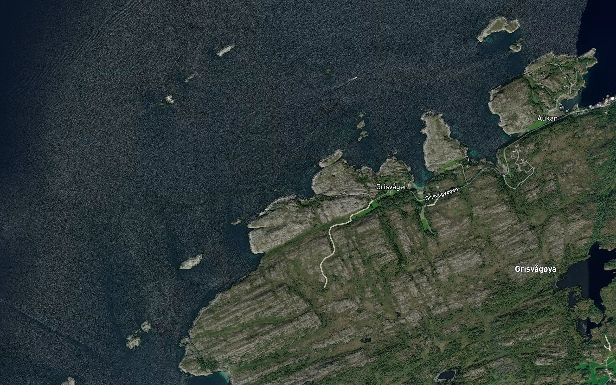 Kuskhalbugen