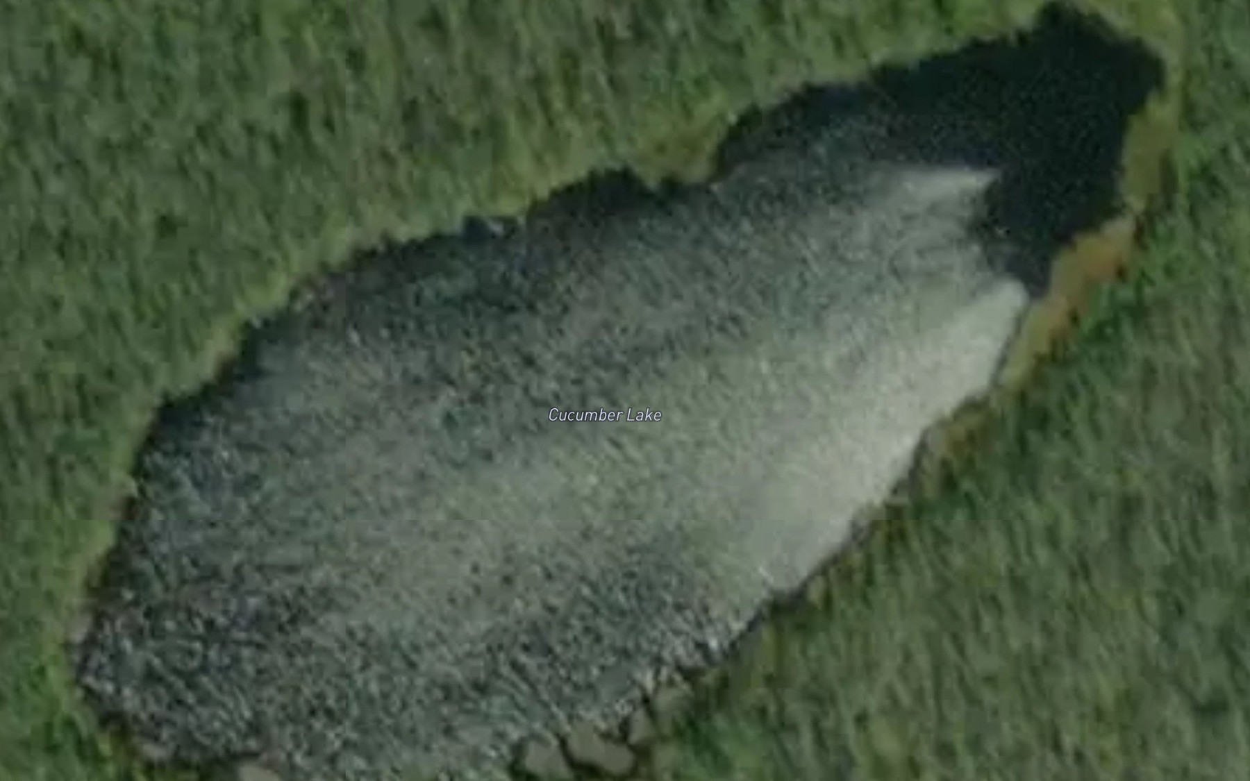Satellite map of the Cucumber Lake