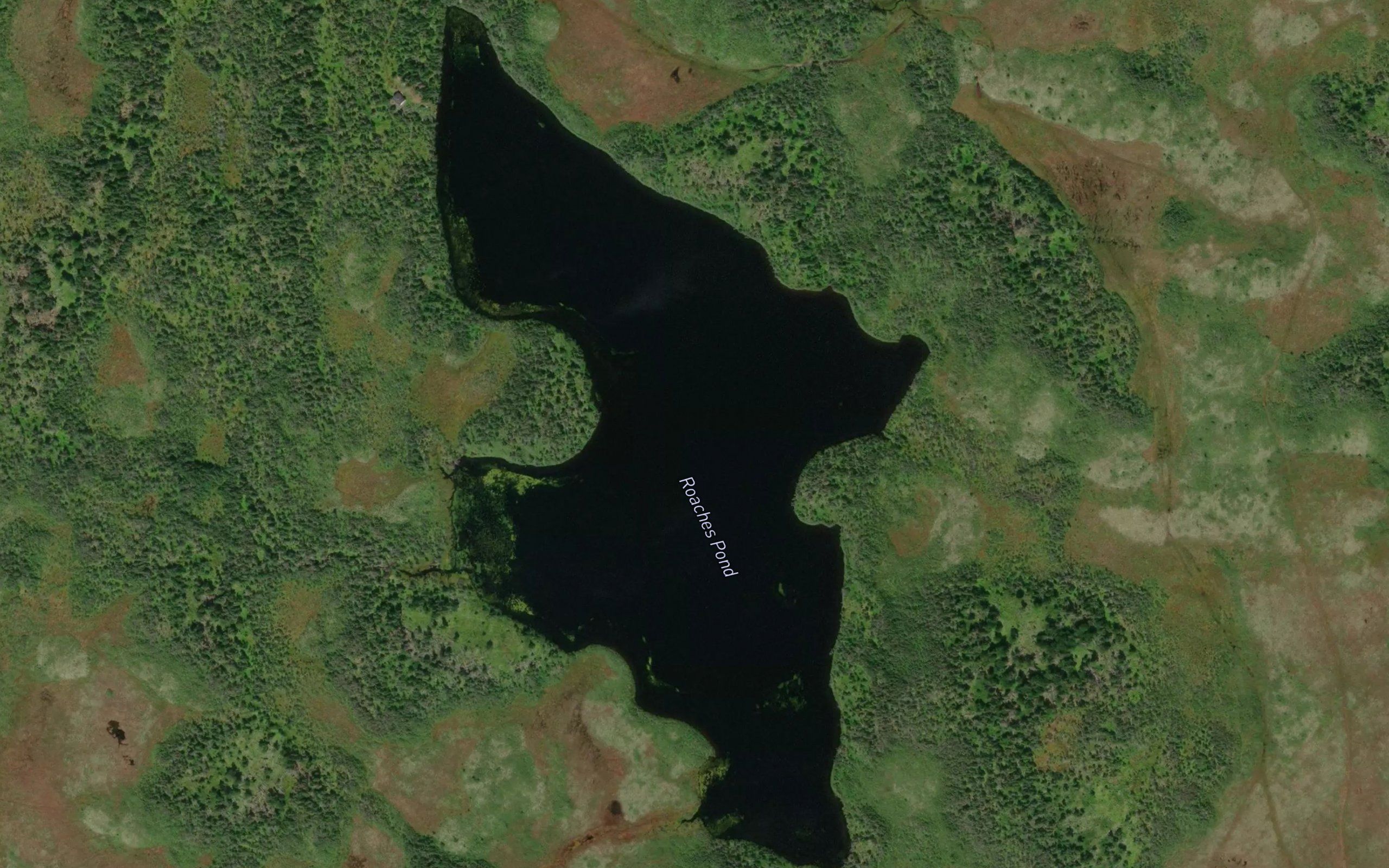 Roaches Pond