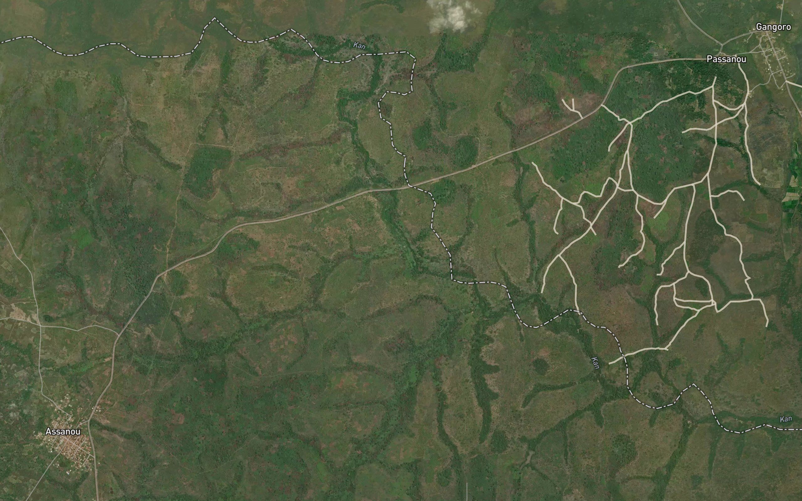 Kongouebra