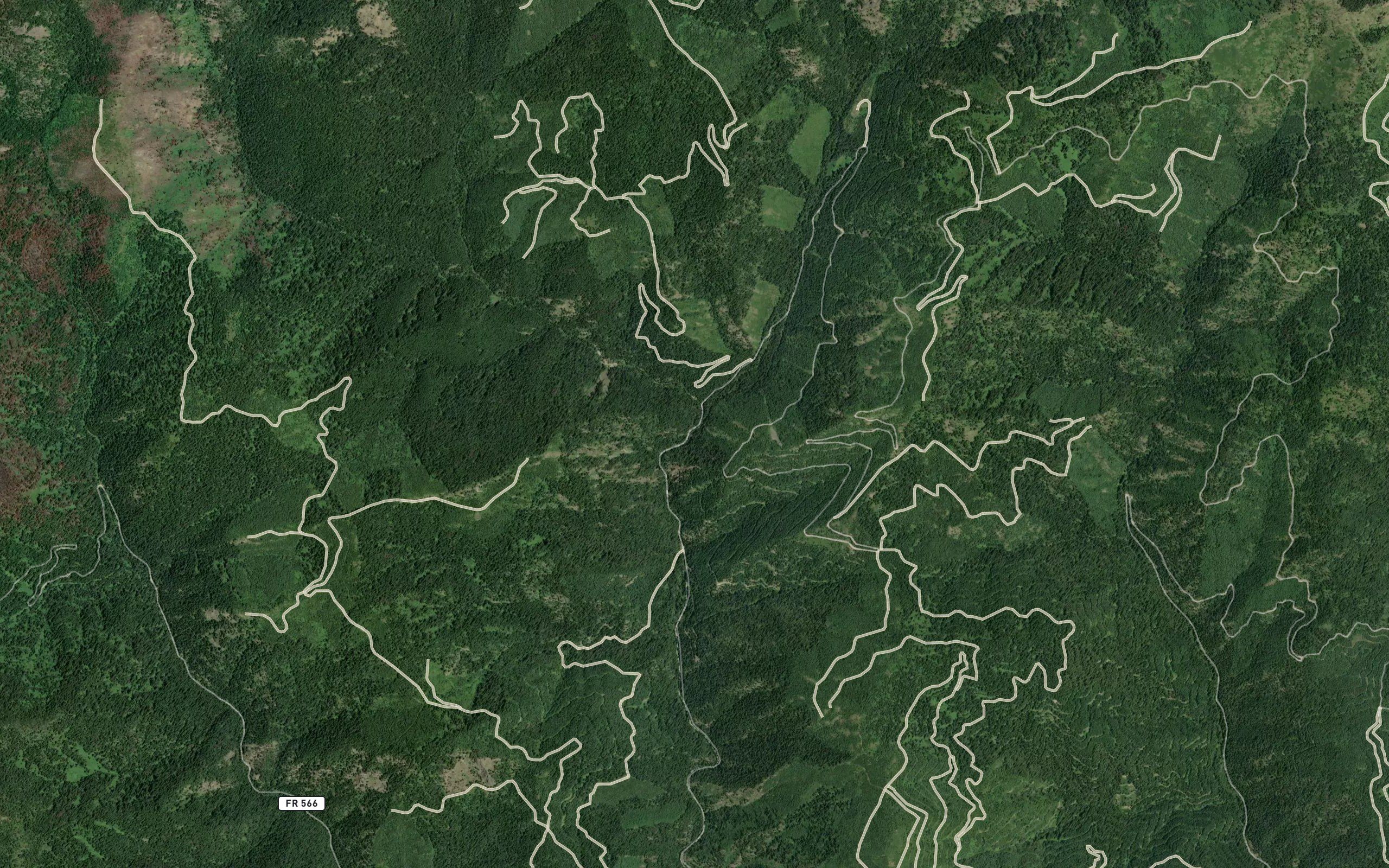 West Fork Waw'aalamnime Creek