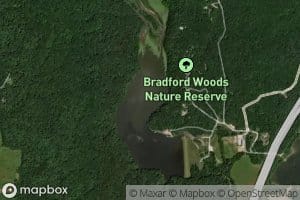 Old Swimmin Hole Lake