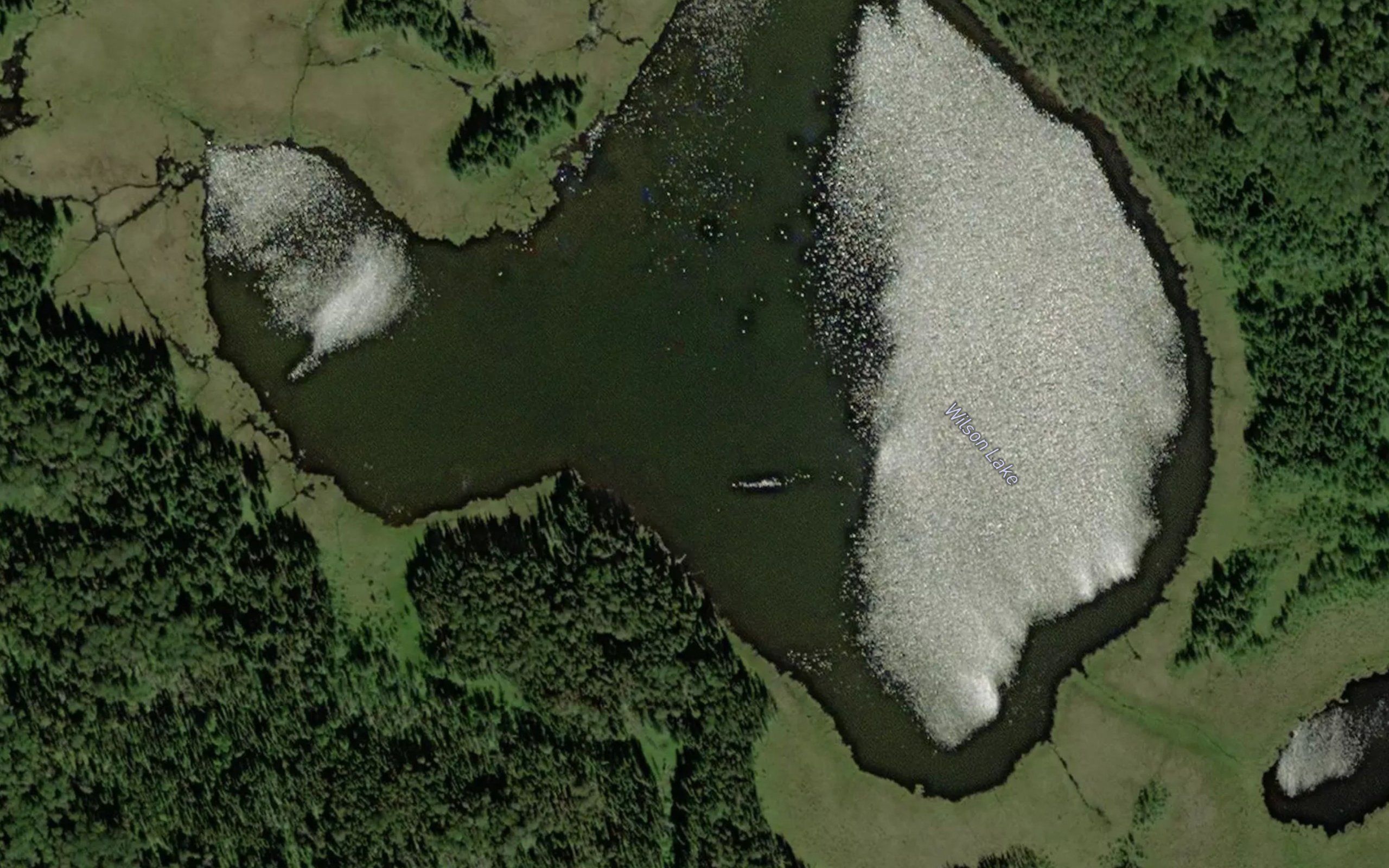 Wilson Lake