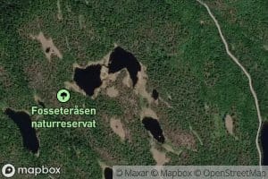 Fosseteraskulpene