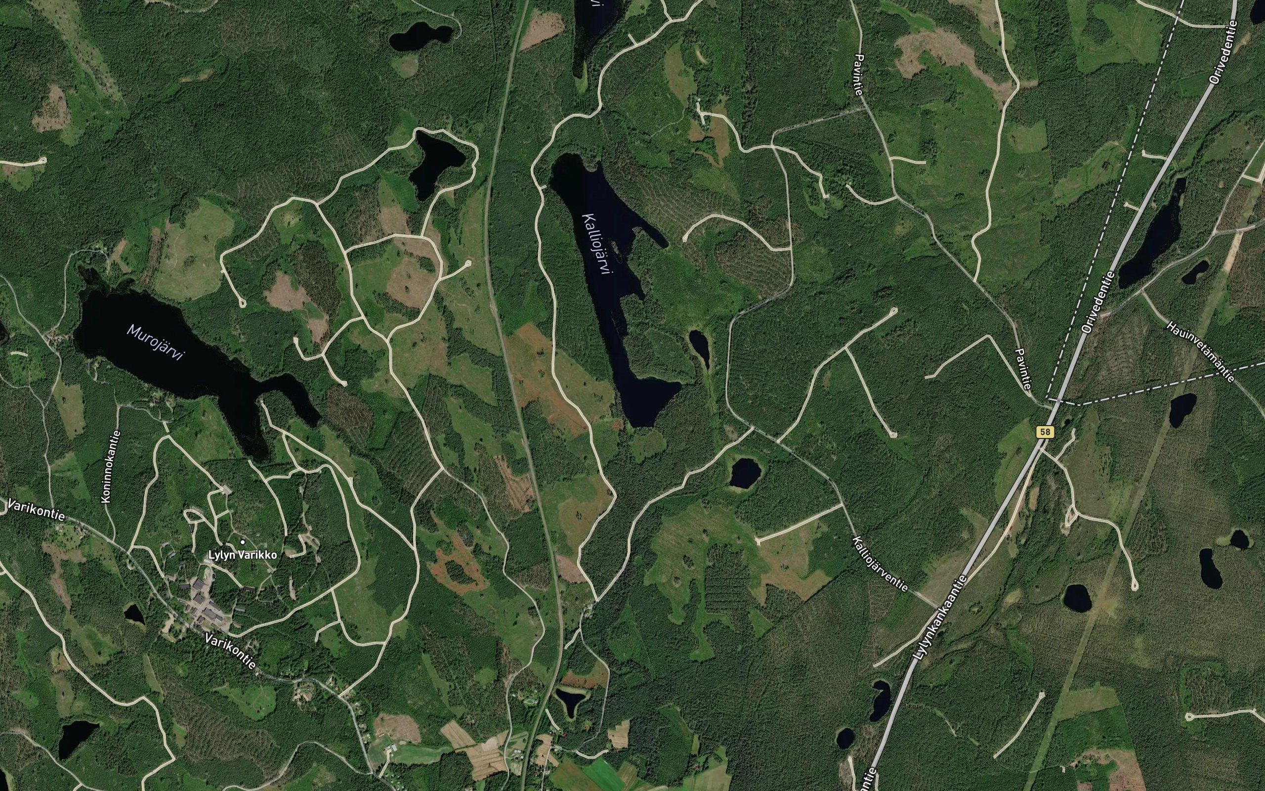 Kivikolunlahti