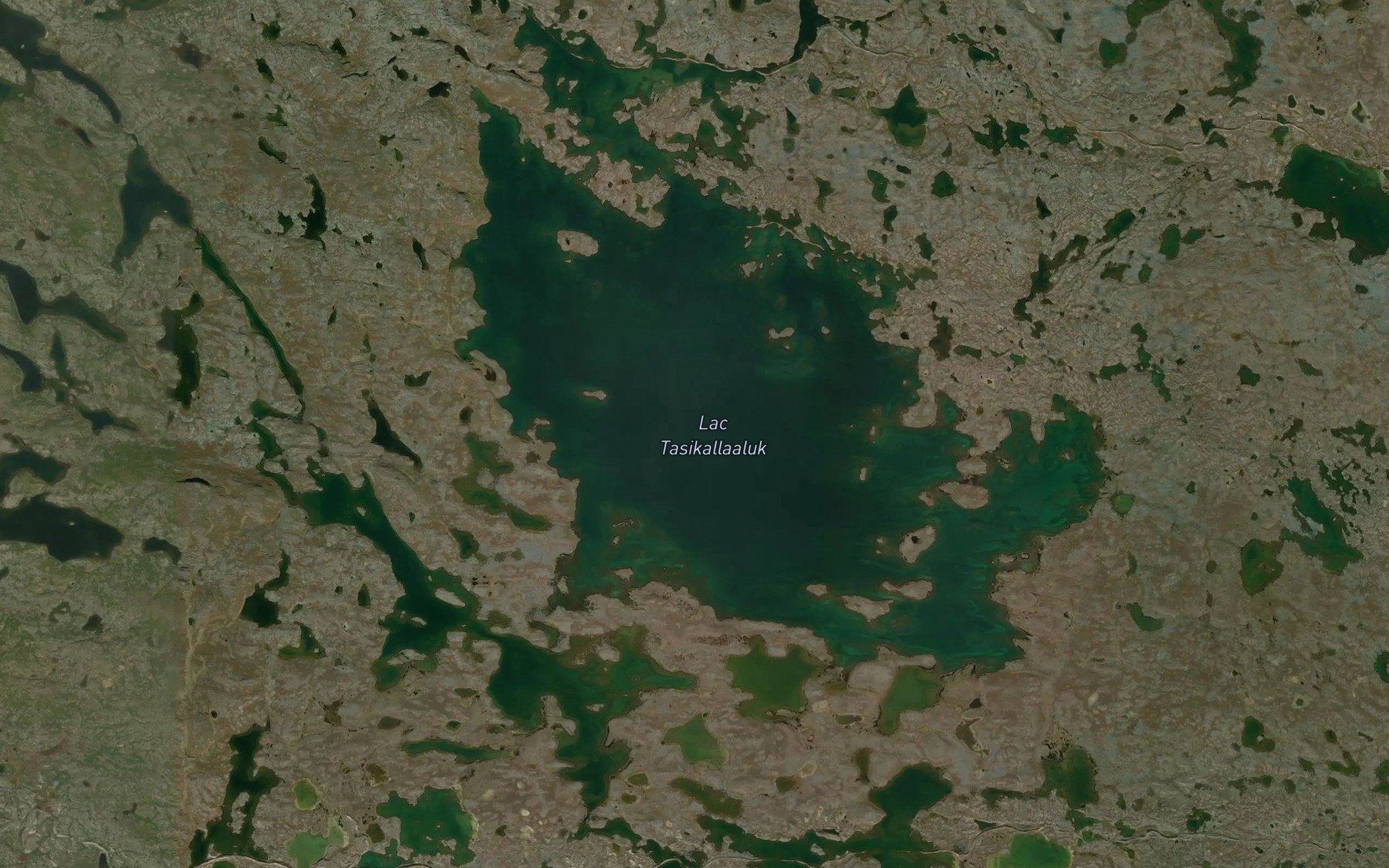 Satellite map of the Lac Tasikallaaluk