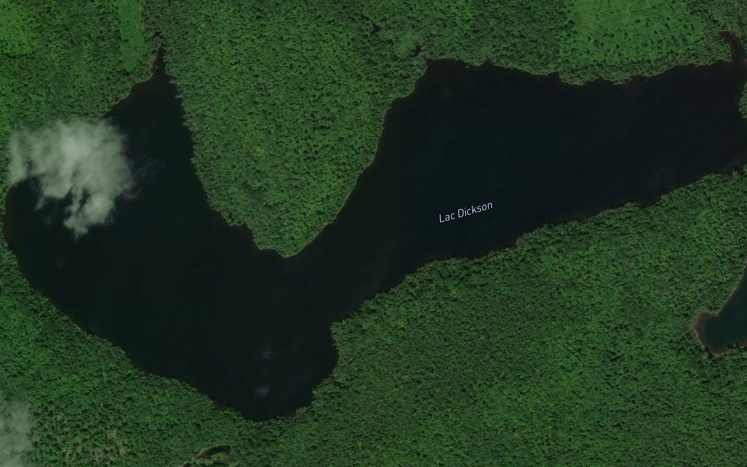 Lac Dickson