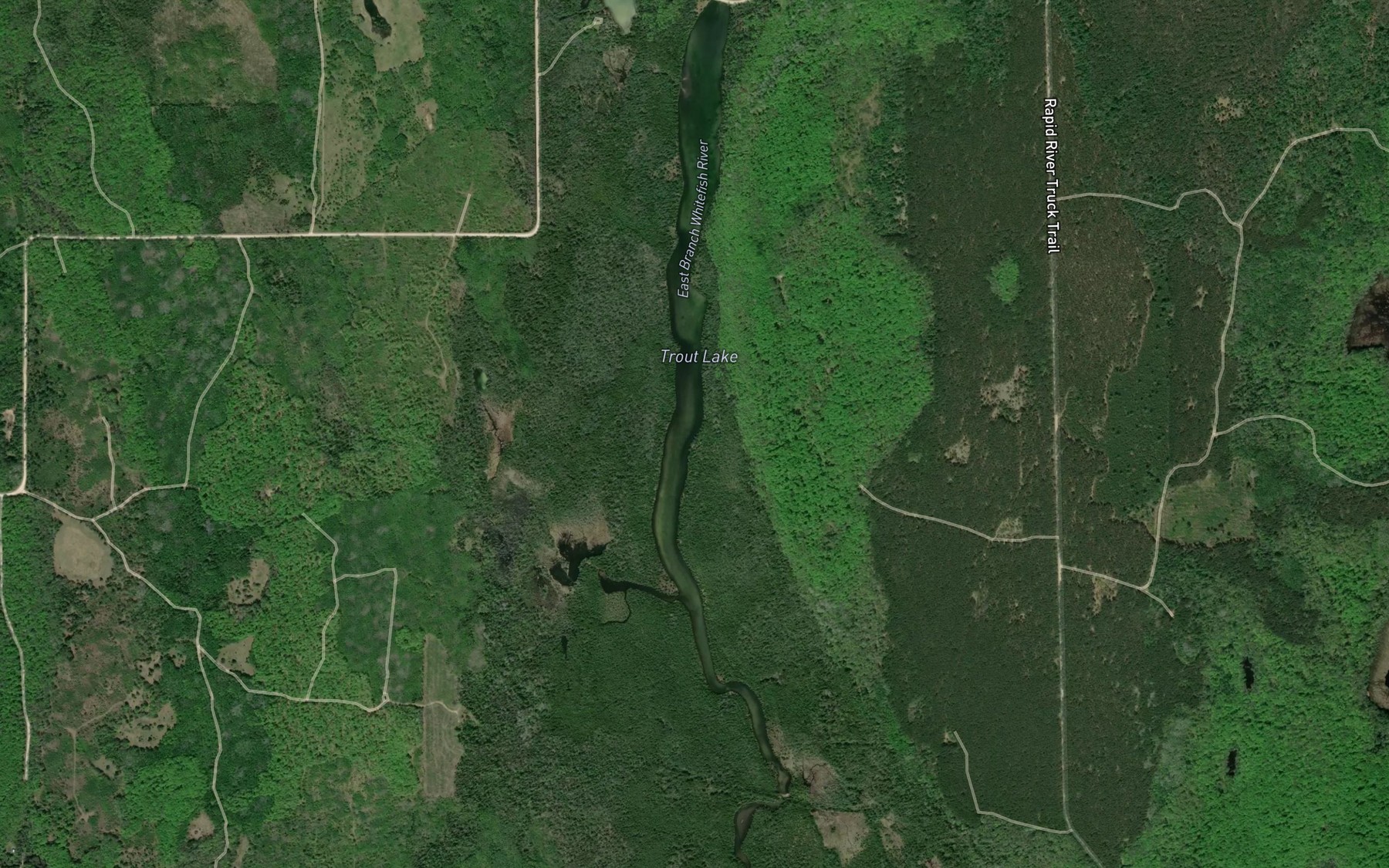 Satellite map of the Trout Lake