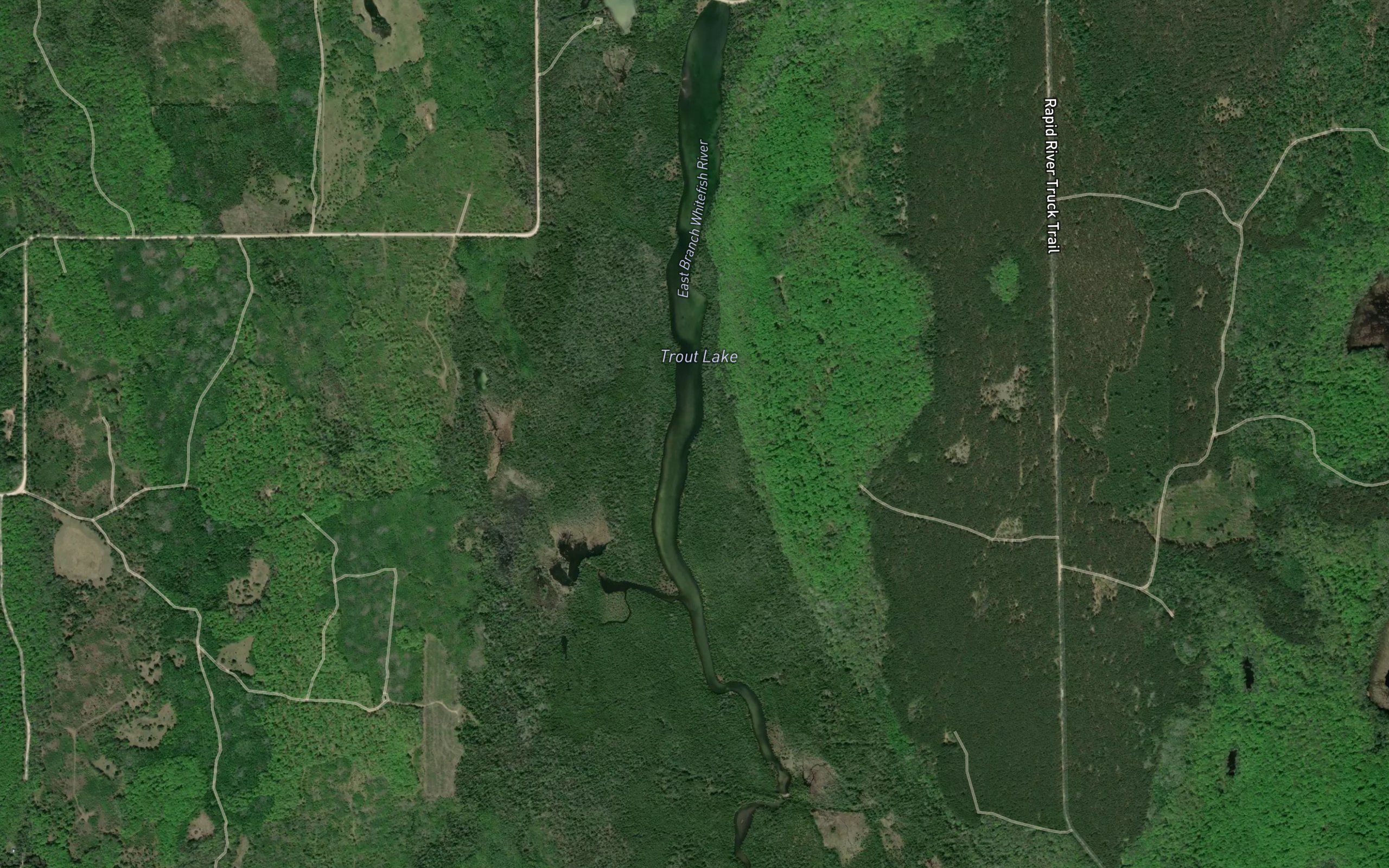 Trout Lake