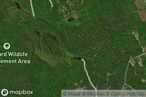 Knights Meadow Marsh Reservoir