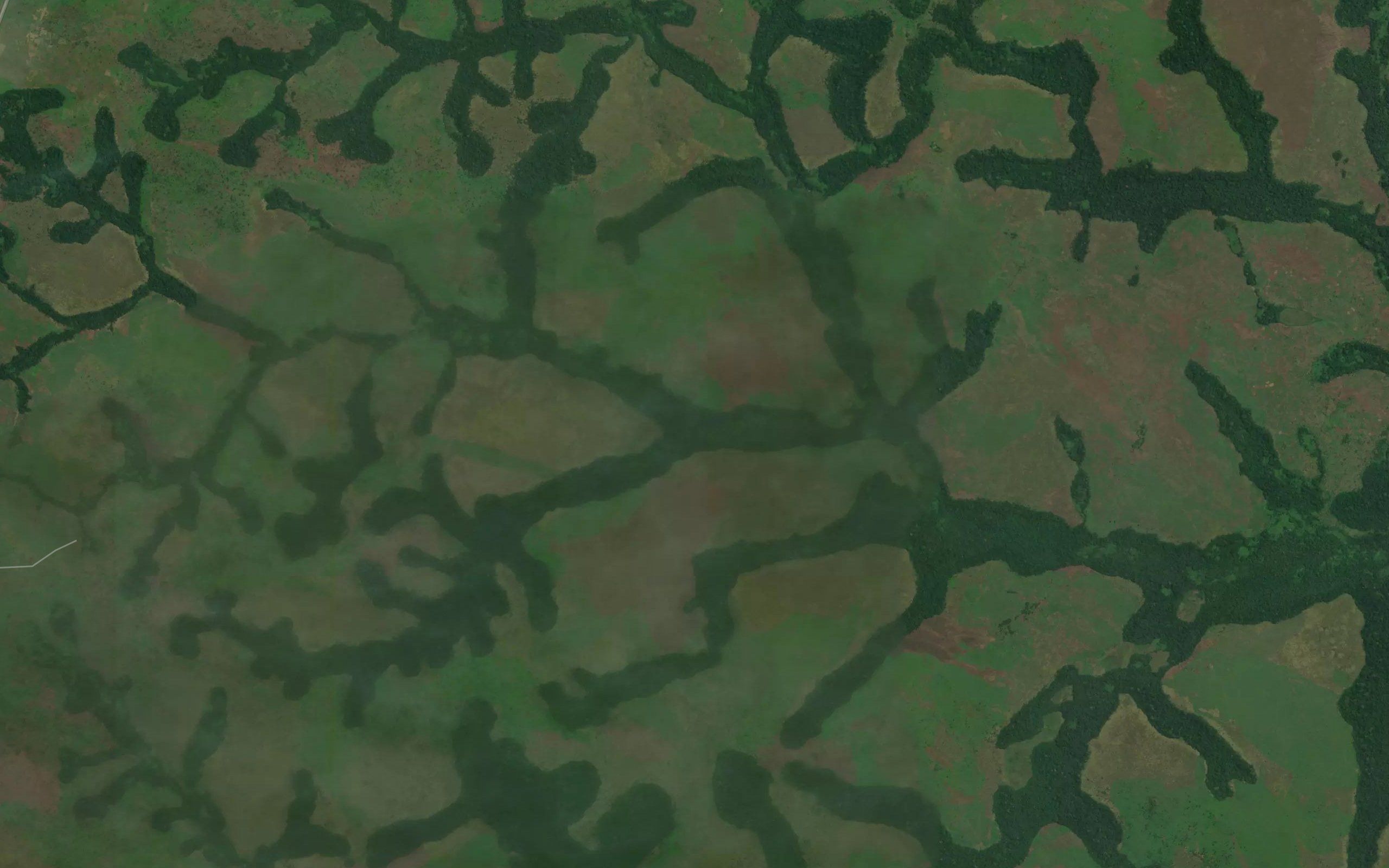 Kansele