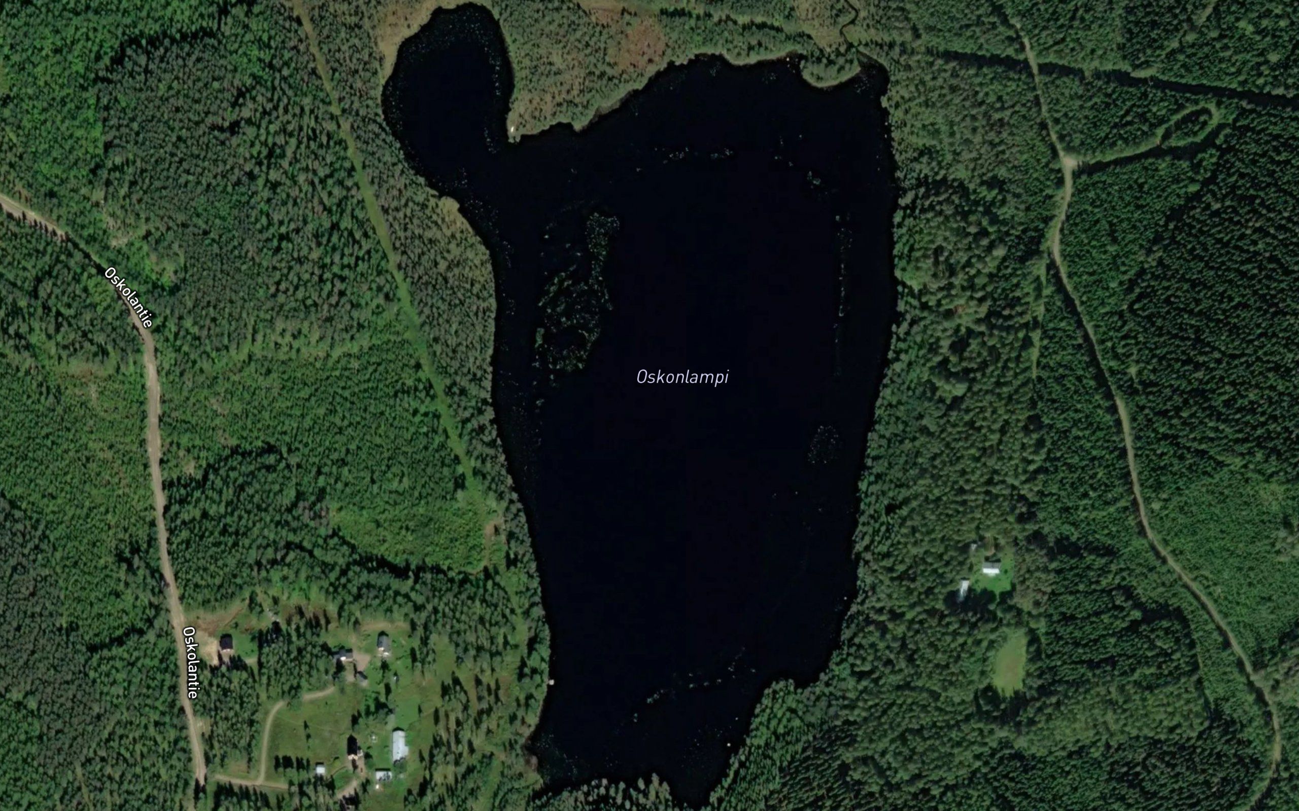 Oskonlampi