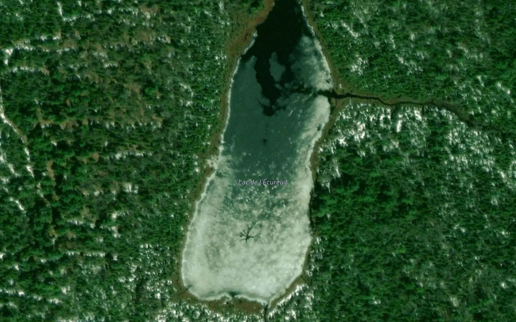 Satellite map of the Lac de l'Ecureuil