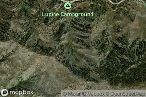 Columbine Spring